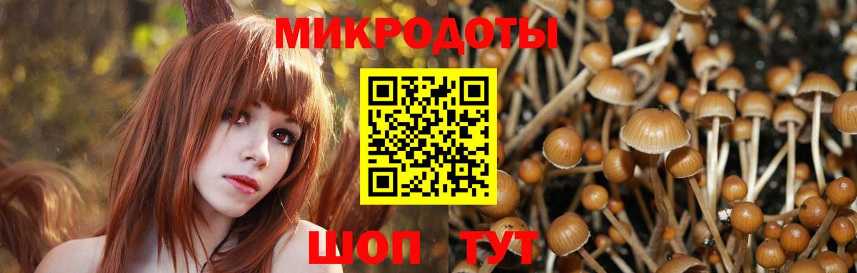 Полысаево  Галлюциногенные грибы ЛСД  наркотики  Вход с VPN 
